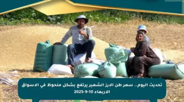 تحديث اليوم.. سعر طن الأرز الشعير يرتفع بشكل ملحوظ في الأسواق الأربعاء 10-9-2025